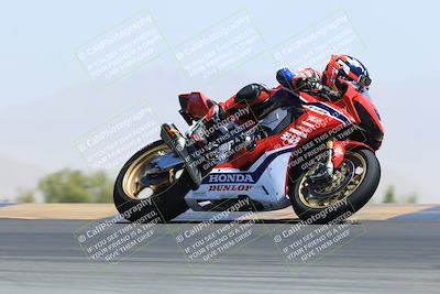 media/May-13-2023-SoCal Trackdays (Sat) [[8a473a8fd1]]/Turn 9 (11am)/
